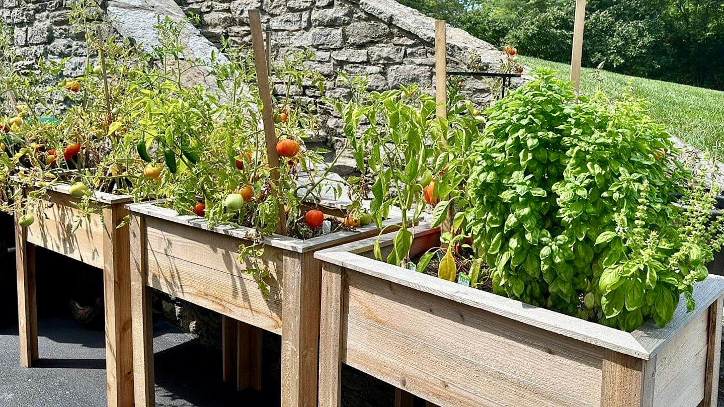 Elevated Garden Bed 36" Tall